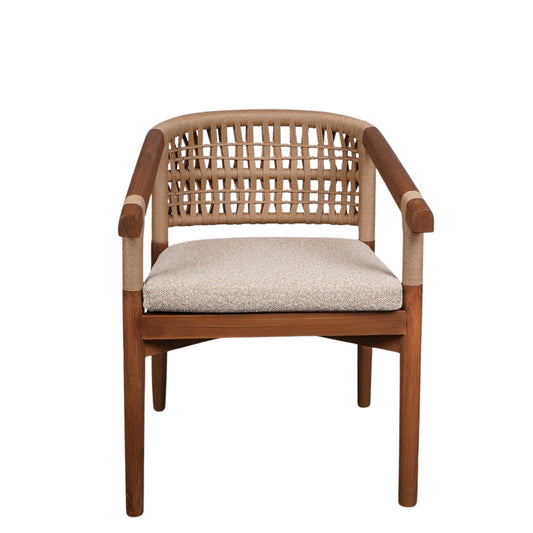 Nova Dining Chair - Natural at online8 furniture store Auckland