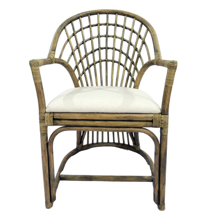 Nusa Dua Armchair - Honey / Black & Oatmeal at online8 furniture store Auckland