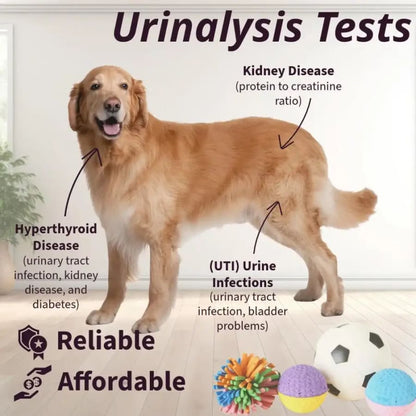 Pet Health Urine Test Strips