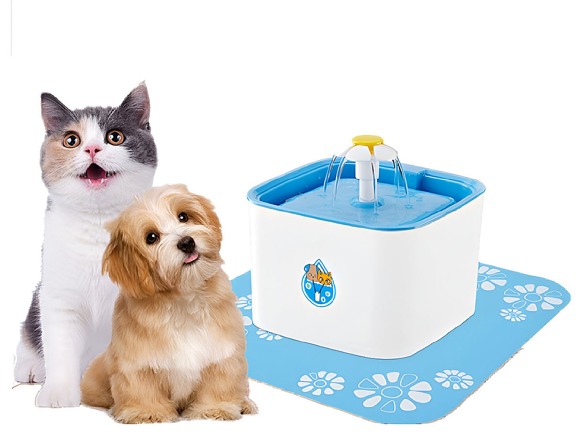 Pet water Drinking Fountain
