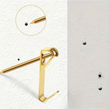 Picture Hooks & Nails x 50