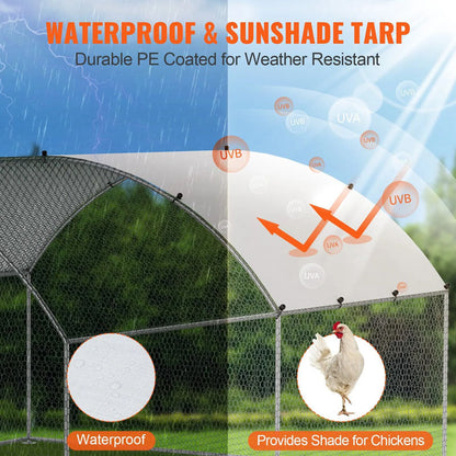 Outdoor Chicken Coop