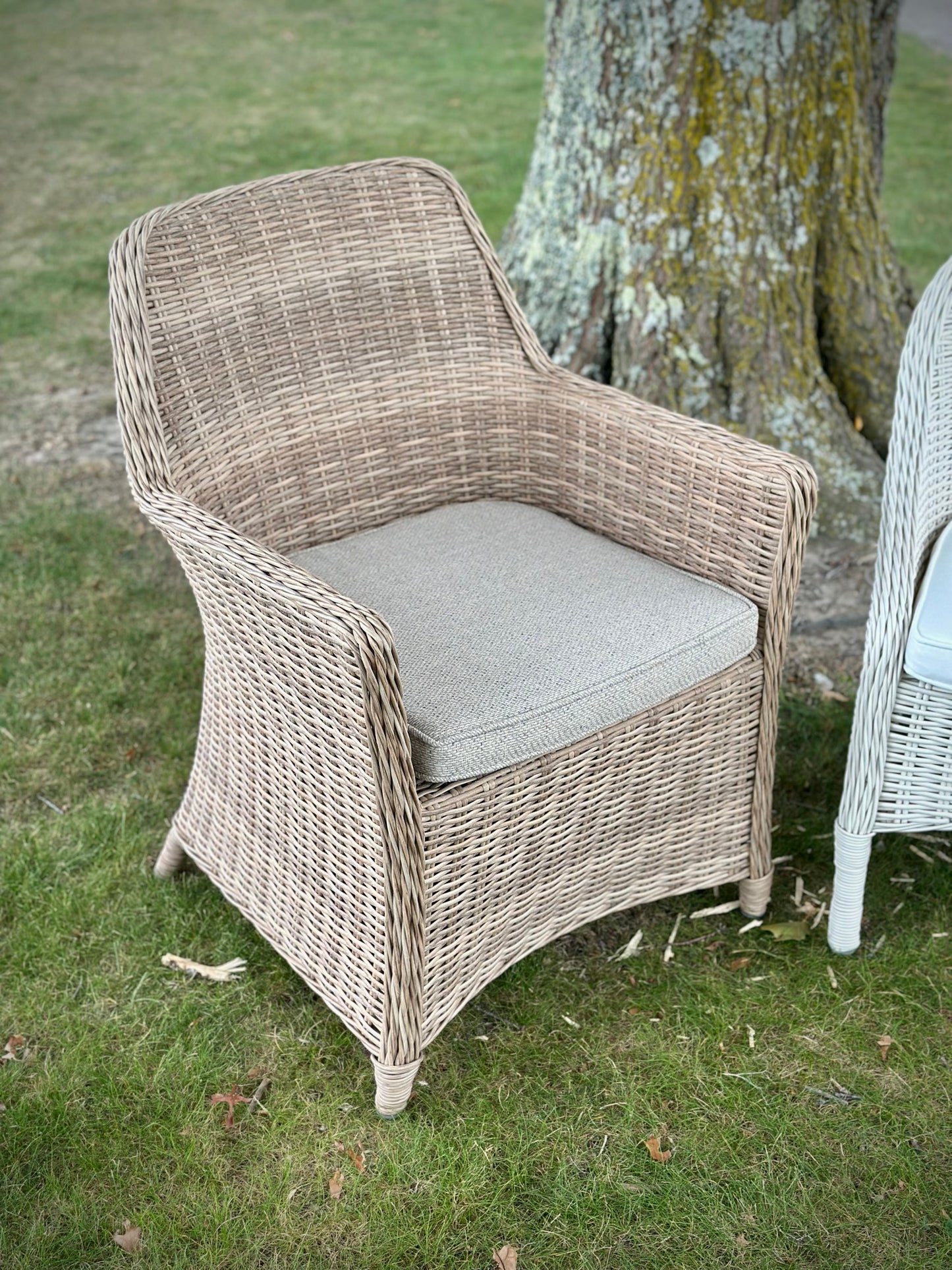 Raffles Outdoor Dining Chair - Natural at online8 furniture store Auckland