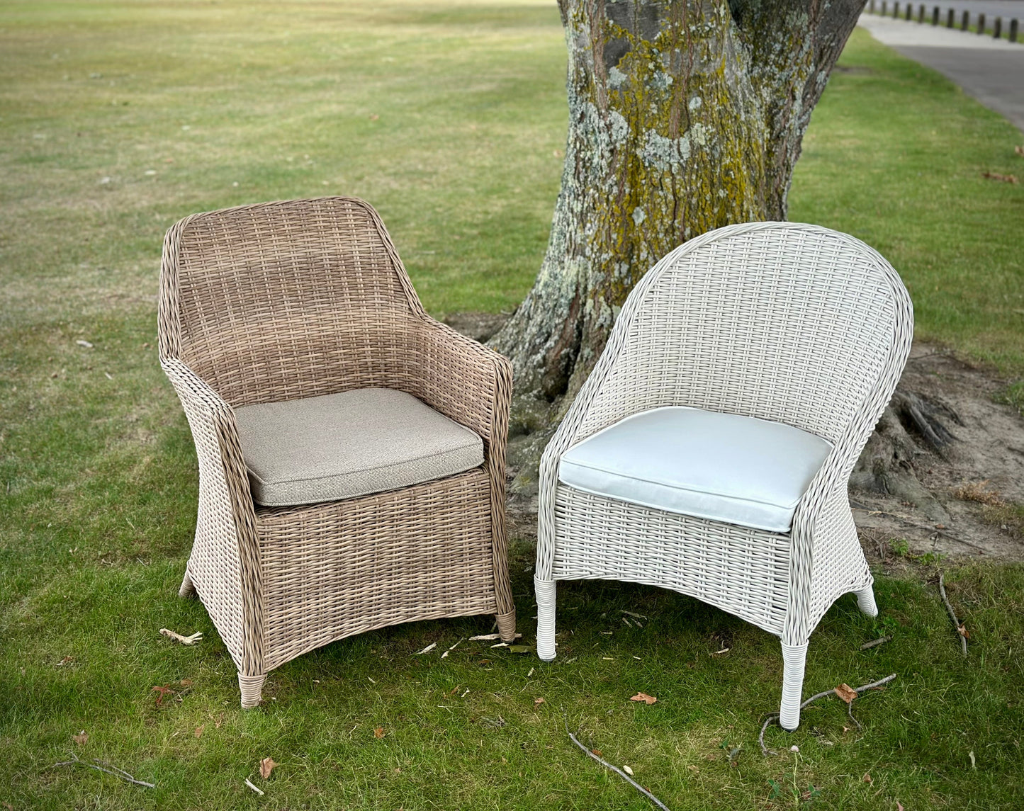 Raffles Outdoor Dining Chair - Natural at online8 furniture store Auckland