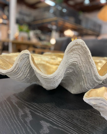 Resin Clam Shell Champagne Small at online8 furniture store Auckland