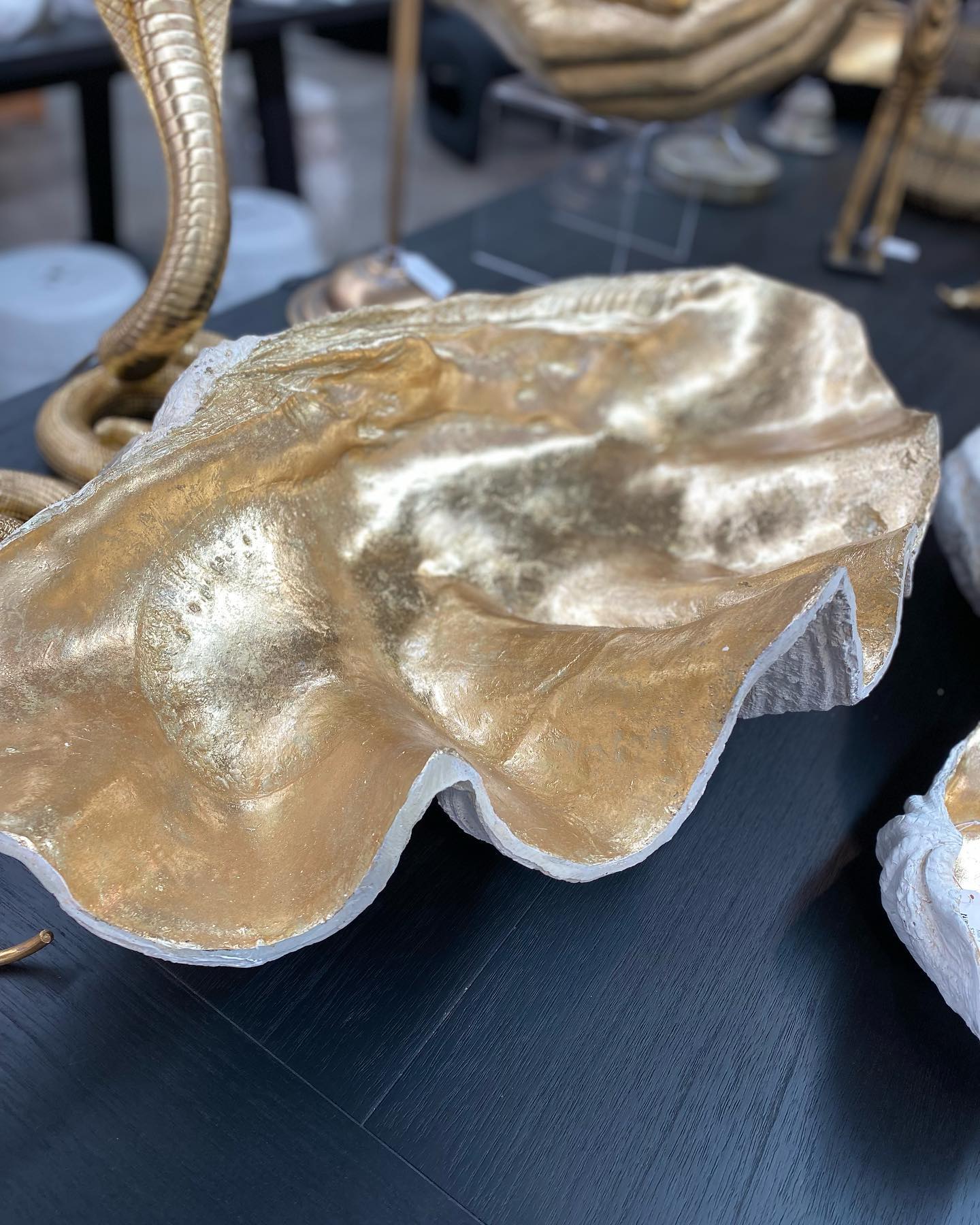 Resin Clam Shell Champagne XL at online8 furniture store Auckland