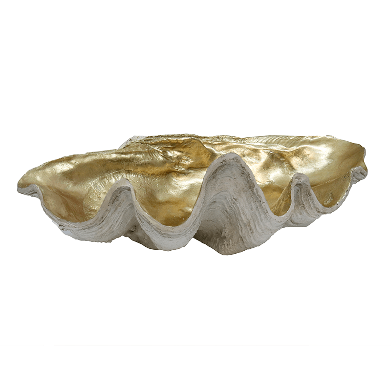 Resin Clam Shell Champagne XL at online8 furniture store Auckland