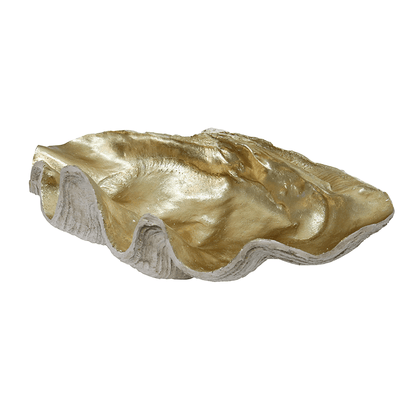 Resin Clam Shell Champagne XL at online8 furniture store Auckland