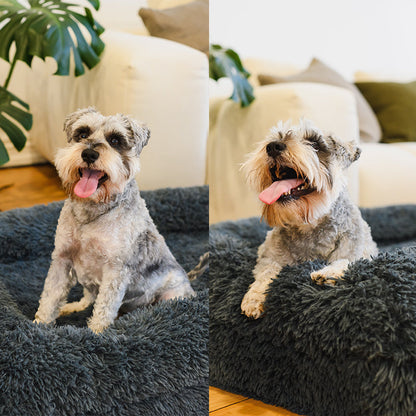 Brooklyn® Memory Foam Bolster Bed