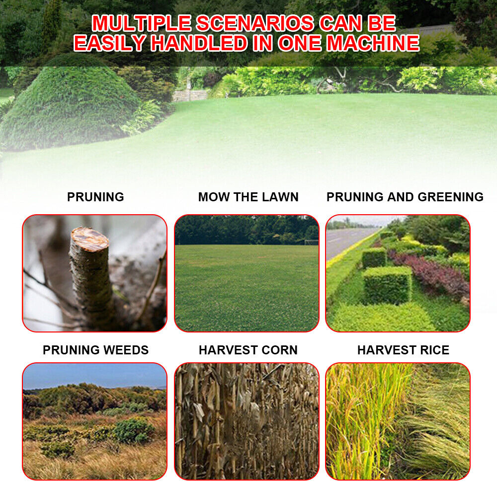 Weed Eater and Grass Trimmer Lawn Mower