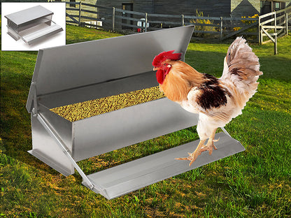 Automatic Chicken Feeder