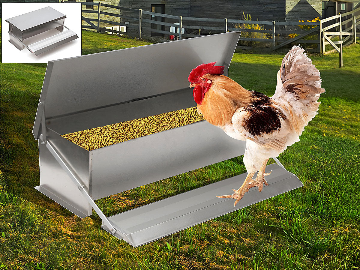 Chicken Feeder 10Kg