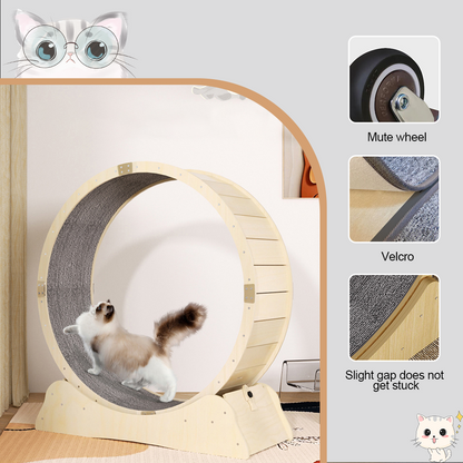 Cat Exercise Wheel Cat Scratcher Board