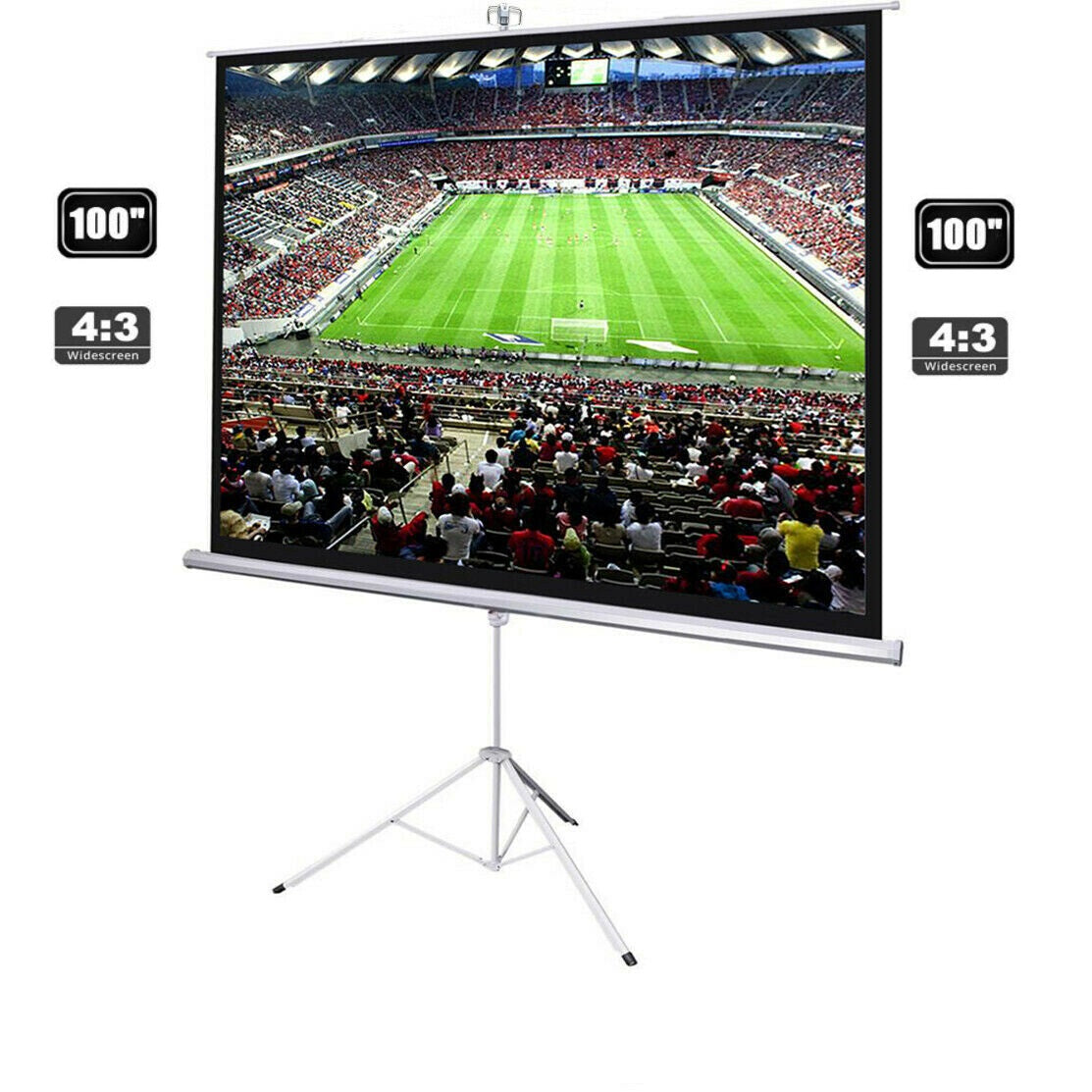 Projector Screen with Stand 100"