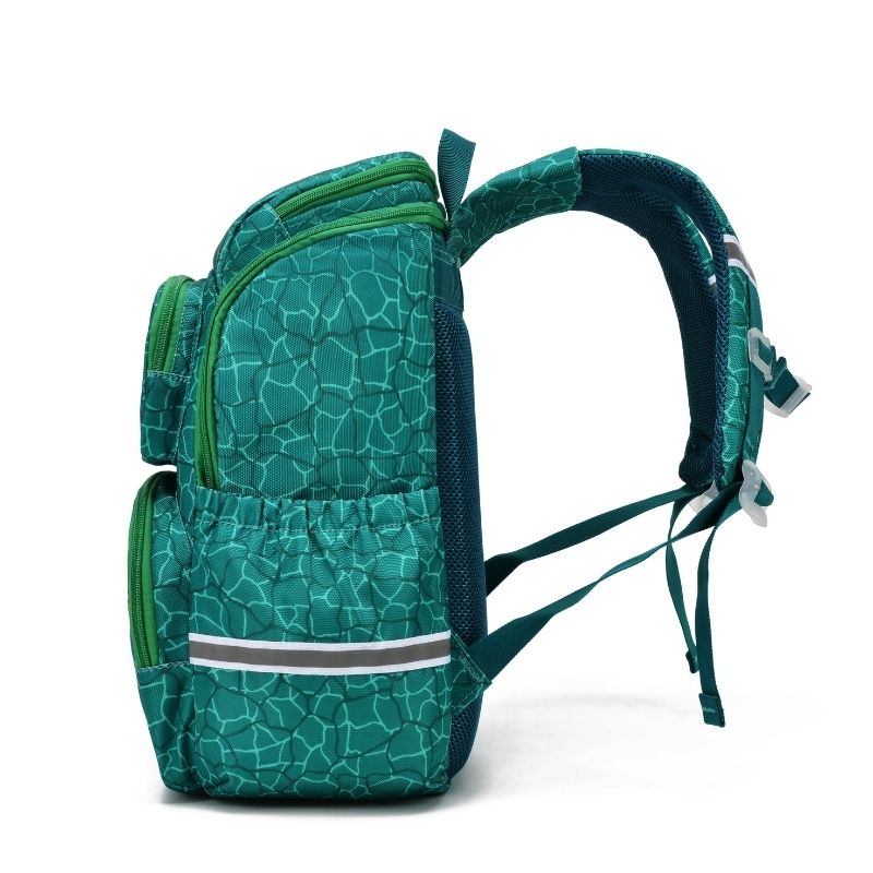 Kids Dinosaur Backpack & Boys School Bags