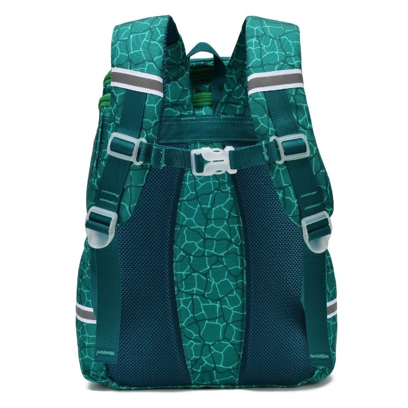 Kids Dinosaur Backpack & Boys School Bags