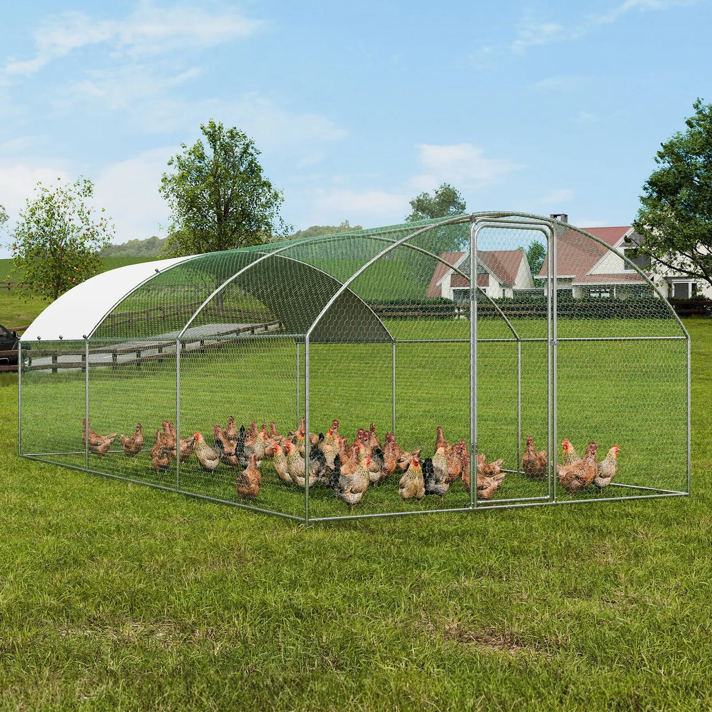 Outdoor Chicken Coop 6m × 3m × 2m