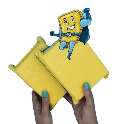 Windshield Fog Sponge