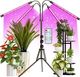 Plant Grow Light With Stand