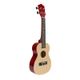 DS BS 21 inch Ukulele Mini Guita Beginner Kit-Natural