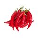 Red Chilli