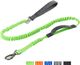 DS BS 2 in 1 Dog Bungee Leash & Car Seatbelt-Green