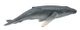 CollectA Humpback Whale Calf