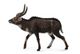 CollectA Large Mountain Nyala