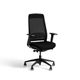 Brava Mesh Back Task Chair