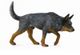 CollectA Australian Cattle Dog