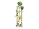 5 Tier plant stand