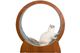 Cat Exercise Wheel Cat Scratcher Board