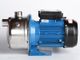 Water Pump S/S Domestic Household Pump 550W