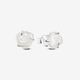 Pandora White Rose in Bloom Stud Earrings