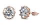 Rose-Gold Stud Crystal Earrings 