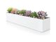 Small Rectangular Planter Pot/Window Sill Planters-White