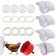 Automatic Chicken Feeders Poultry Gravity Fed Chicken Feeder